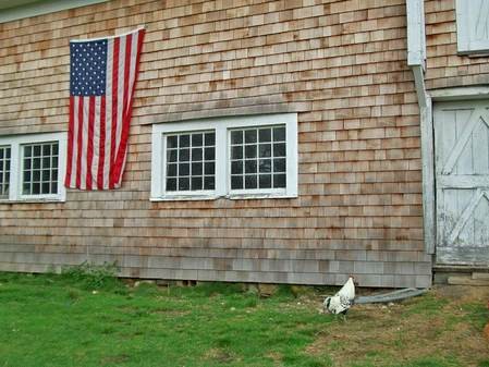 flag and Desi