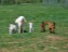 Momma and quads